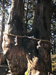 玉置神社