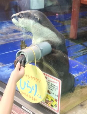 二見興玉神社